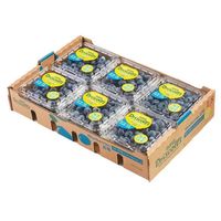 CLCEY 新鲜 蓝莓 6盒*100g 单果12-14mm