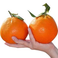 MPPMCK 特大果 单果80mm+ 四川春见耙耙柑 4.5斤装