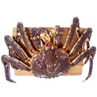  FISHERY PROPAGATION/渔传播 鲜活 帝王蟹