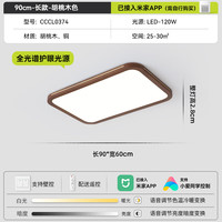YIGELIGHTING/一格照明 全光谱 吸顶灯