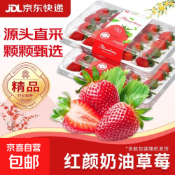 宁玉天仙醉 奶油草莓 4盒/箱 礼箱装