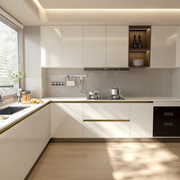 林氏家居 全屋定制整体橱柜 石英石台面 灶台一体 定制金