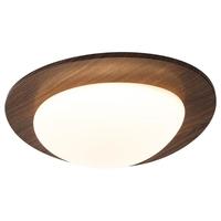 YIGELIGHTING/一格照明 全光谱 LED吸顶灯
