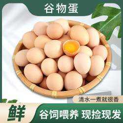 新鲜现捡土鸡蛋 40±5g 12枚装