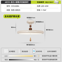 YIGELIGHTING/一格照明 全光谱 吸顶灯