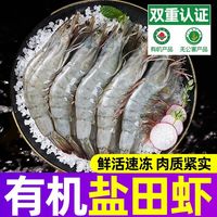 鲜驰 国产有机盐田虾 冷冻青虾 500g