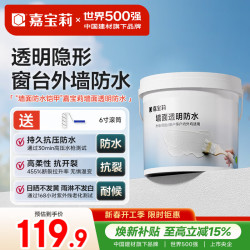 嘉宝莉 外墙防水涂料 透明防水胶 窗台防水胶室外 堵漏王补漏 5KG