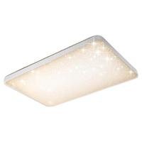 PHILIPS/飞利浦 现代简约 LED吸顶灯