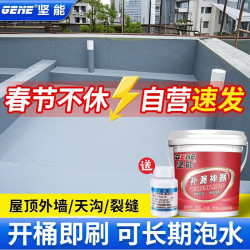 坚能 屋顶防水补漏材料 3kg 水泥色
