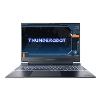ThundeRobot/雷神 高性能4060独显 笔记本电脑 2560*1440 i7-13620H RTX 4060 灰色 165Hz 32GB