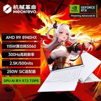 MECHREVO/机械革命 300Hz 游戏笔记本电脑