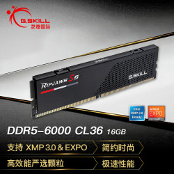 G.SKILL DDR5 6000MHz  16GC36 台式机内存条