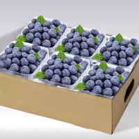 OLOEY 特大果 云南新鲜蓝莓 4盒 单果15-18mm
