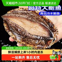 88VIP：卖鱼郎先生 Mr. Fishman 卖鱼郎先生 山东崂山鲍鱼 500g 7-10只/1斤