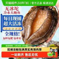 88VIP：海仙部落 无品牌 中国大陆 崂山鲍鱼 500g 11-15只/1斤 冷冻