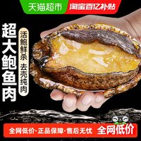 88VIP：云储生活 无品牌 福建 鲍鱼肉 300g 冷冻
