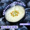  顾一 脆甜 蓝莓