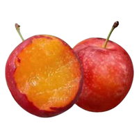  驰振 纯甜 樱桃李