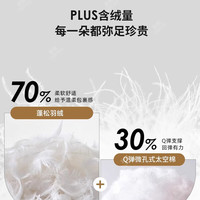  典雅大师 悬浮结构 悬浮床+床头柜