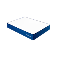 丨蓝盒子Z1 软硬适中记忆棉弹簧床垫家用卧室席梦思 Z1经典款【软硬适中/全网热销40W+】厚22cm 150*190cm