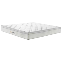  AERMENDUR/爱眠岛 抑菌抗螨 床垫 独袋弹簧 180*200cm