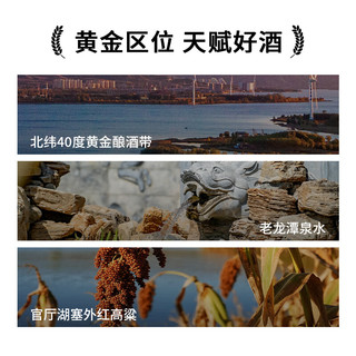 沙城 经典6号 浓香型白酒 52度 500ml