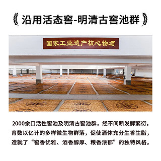 沙城 经典6号 浓香型白酒 52度 500ml