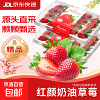 大凉山 红颜草莓新鲜当季非丹东草莓牛奶油草莓水果礼品物盒4 4盒礼箱装