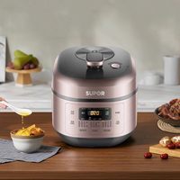  SUPOR/苏泊尔 智能 电压力锅 双胆 棕色