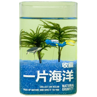 京东绿植 水培 绿植礼盒