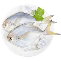 野生大号银鲳鱼1斤
