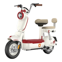  Yadea/雅迪 智能 女士电动自行车