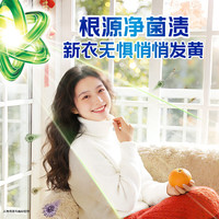 碧浪 除菌洗衣原液雨后初晴1.7斤袋装 1次去黄 7天抑味