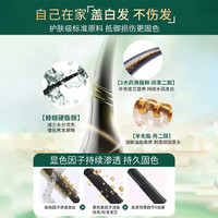 HANJINLIANG/韩金靓 植物纯免漂 染发膏+护发蛋白霜 自然黑 180ml*1盒 【染发膏1瓶+护发蛋白霜1袋】