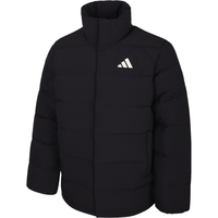 adidas/阿迪达斯 防风保暖 男士羽绒服