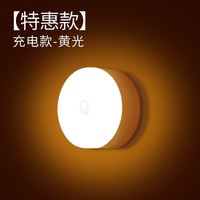 以典 【不饶弯，直接低价干】以典小夜灯感应灯