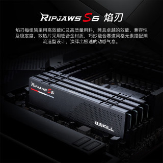G.SKILL 16G DDR5 6000频率 台式机内存条-焰刃(黯夜黑)