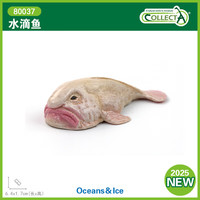 COLLECTA 英国CollectA 海洋儿童认知动物模型玩具 80037 水滴鱼 (原装PP袋，标签吊牌)