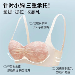 多情猫 内衣女小胸聚拢收副乳防下垂性感薄款调整型无钢圈文胸罩2026新款 香槟粉单件  M