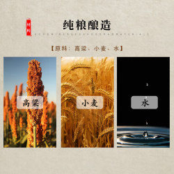 五粮液 1995专卖店酒 52%vol 浓香型白酒 50ml