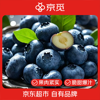 移动端、京东百亿补贴：京觅 大凉山正宗花香蓝莓 100g/盒 4盒