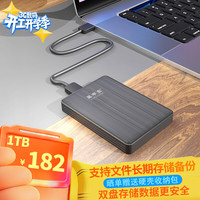 黑甲虫 双盘备份 移动硬盘  商务黑 1TB