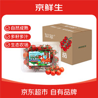京鲜生 沱沱工社 有机西红柿 500g 新鲜蔬菜