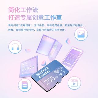  /闪迪 Sandisk  存储卡