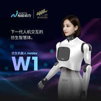 NOETIX 春晚同款 仿生人形机器人