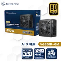 银昕 850W VG金牌ATX3.1全模组电源 (原生PCIE5.1/全日系电容/压纹材质/风扇启停) VG850R-GM