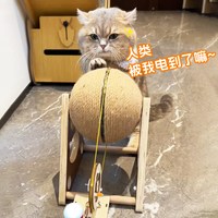 萌宠牧歌 猫咪发电玩具立式旋转猫抓球剑麻绳手摇发电机自制解闷耐磨不掉屑