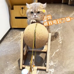 萌宠牧歌 猫咪发电玩具立式旋转猫抓球剑麻绳手摇发电机自制解闷耐磨不掉屑