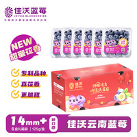  JOYVIO/佳沃 花香 蓝莓