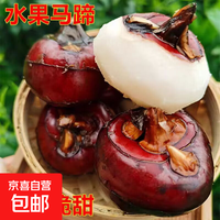 京东 广西荔浦 新鲜马蹄 水果荸荠 京东包邮 5斤装（新鲜带泥）